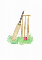 Image result for Cricket Bat Ball Stumps