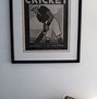 Image result for The Ashes Cricket Posters