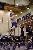 Image result for Purple Volleyball