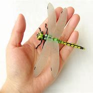 Image result for Dragonfly Toy