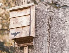 Image result for Garden Bat Sign
