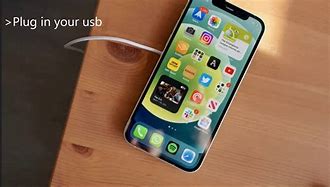 Image result for iTunes Apple Support iPhone Restore