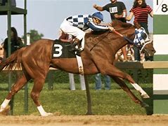 Image result for Greatest Horse Race Photo
