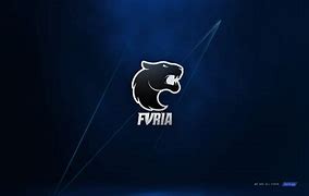 Image result for furia