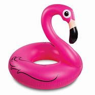 Image result for Inflatable Flamingo Pool Float