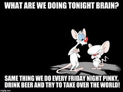 Image result for Pinky and the Brain Friday Meme