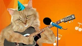 Image result for Cats Singing Happy Birthday