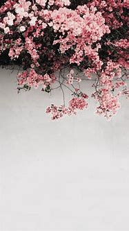 Image result for Cute Floral iPhone Wallpaper