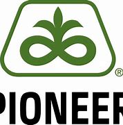 Image result for Pioneer International University Logo