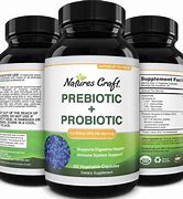 Image result for Probiotics for Gut Health
