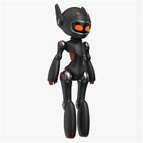 Image result for Black Robot