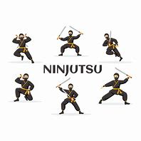 Image result for Ninjutsu