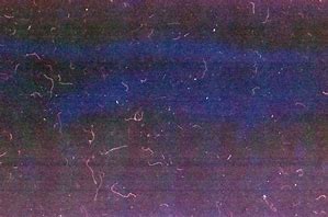 Image result for Vintage Grainy Texture