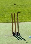 Image result for Huge Cricket Stumps Funny