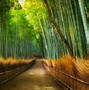 Image result for Cultural Surroundings Japan