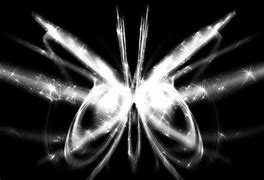 Image result for Magic Butterfly