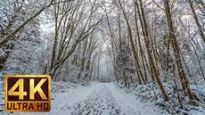 4k ultra hd 4k relaxing winter scenery water and forest part 5 4k ultra hd 4k relaxing winter scenery water and forest part 5