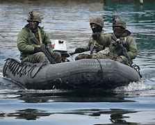 Image result for Marine Commando