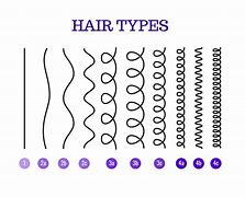 Image result for Type 2C 3A Curly Hair
