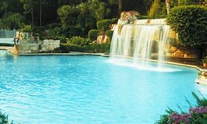 Image result for dolphins hotel disneys world pools