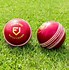 Image result for Cricket Ball for Kids