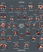 Image result for Every Martial Art in the World