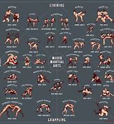 Image result for Every Martial Arts There Is