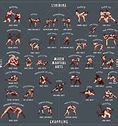 Image result for Martial Arts Written