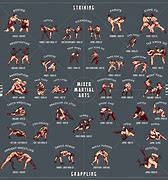 Image result for Martial Arts Action Poses
