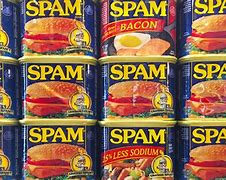 Image result for Spam Pictures
