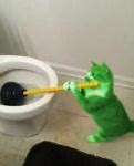 Image result for Cat On Toilet Meme