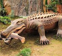 Image result for Pic of Biggest Crocodile