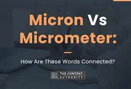 Image result for Micron vs Micrometer