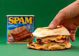 Image result for Hawaiian Spam Burger