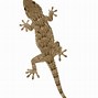 Image result for Light Green Lizard
