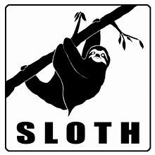 Image result for Silly Sloth