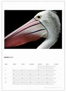 Image result for 2012 Wall Calendar