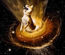 Image result for Doge Galaxy Desktop Backgrounds