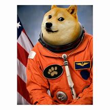 Image result for Astronaut Doge Meme