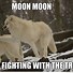 Image result for Cat Moon Meme