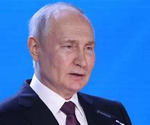 Image result for Putin Bear