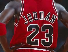Image result for Michael Jordan the Life