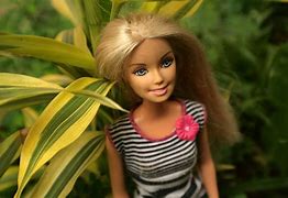 Image result for Disney Barbie Dolls