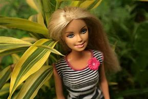 Image result for Barbie Dolls