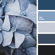 Image result for Gray Blue Color in Motorcycle