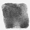 Image result for Fingerprint Clip Art Black and White