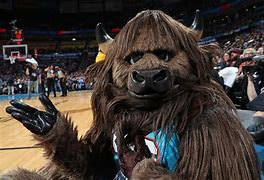 Image result for OKC Thunder Mascot