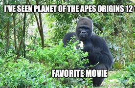 Image result for Meme Kocak Planet of Apes