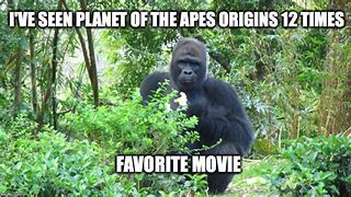 Image result for Meme About Project Management Planet of the Apes