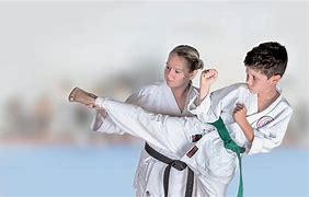 Image result for Karate Sensei Kick